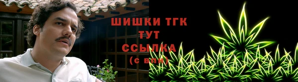 apvp Гусиноозёрск