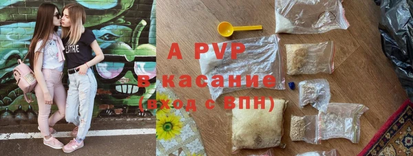 apvp Гусиноозёрск