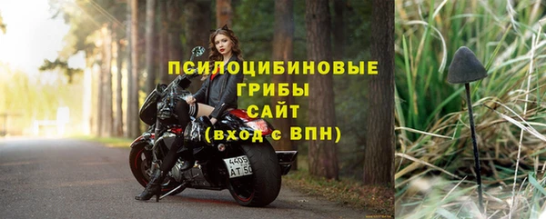 apvp Гусиноозёрск