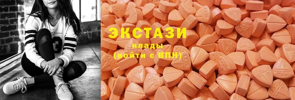 apvp Гусиноозёрск